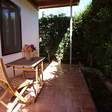 Giardino Dell'Impossibile Di Antonino Campo Lejlighed Favignana Eksteriør billede