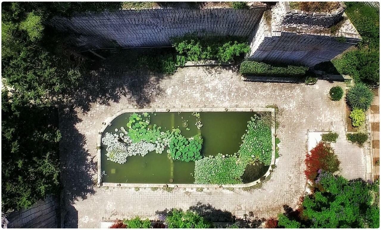 Giardino Dell'Impossibile Di Antonino Campo Lejlighed Favignana Eksteriør billede